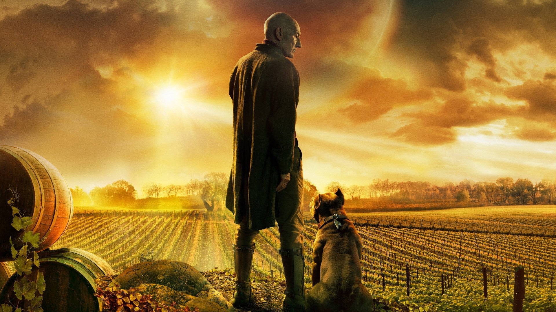 Jean-Luc Picard walks through his vineyard in Star Trek: Picard
